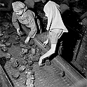 souvenirs en noir et blanc (243)